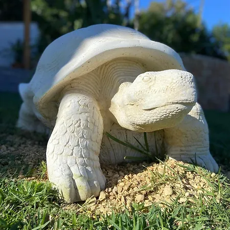 Casa Avellana * Denia