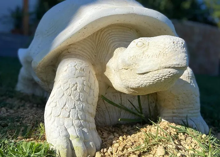 Casa Avellana * Dénia